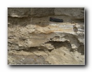Click to enlarge this image